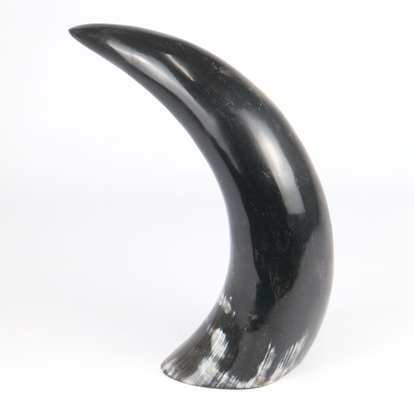 HORN FULL SMALL