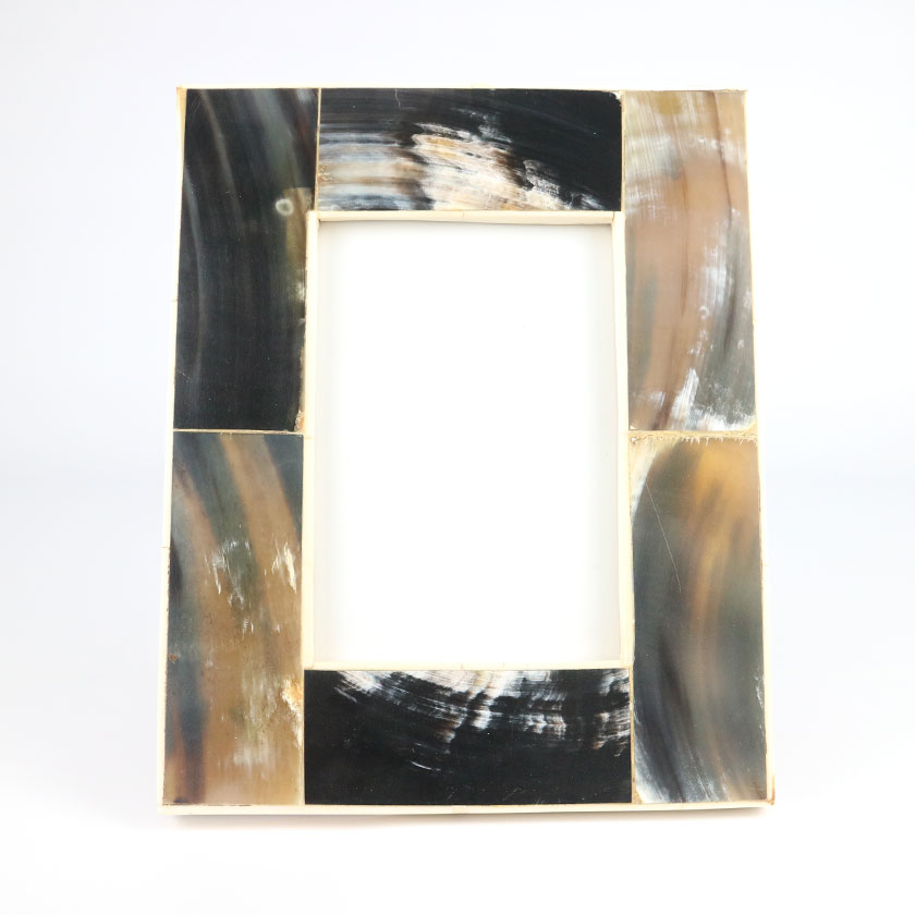 HORN/BONE FRAME