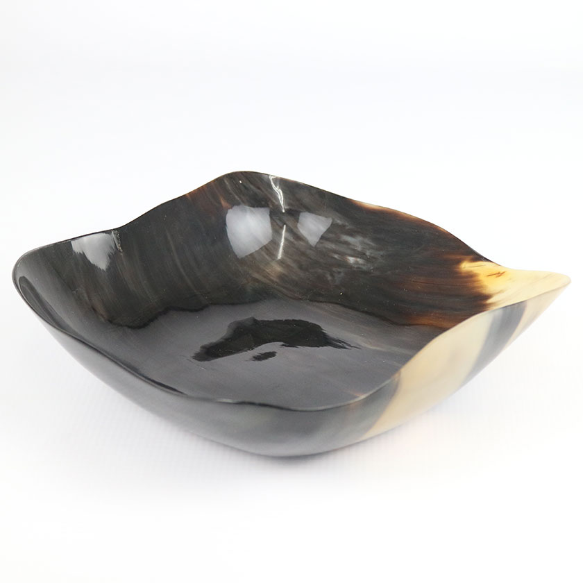 HORN BOWL ABSTRACT