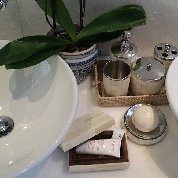 Bathroom counter with sink, potted plant, toiletries, soap, and lotion tube.