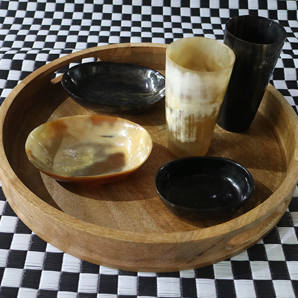 Horn Décor