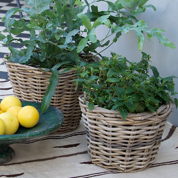 Wicker baskets with green plants and a bowl of lemons on a patterned rug.