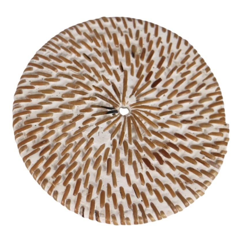 RATTAN COASTER ROUND WHITEWASH
