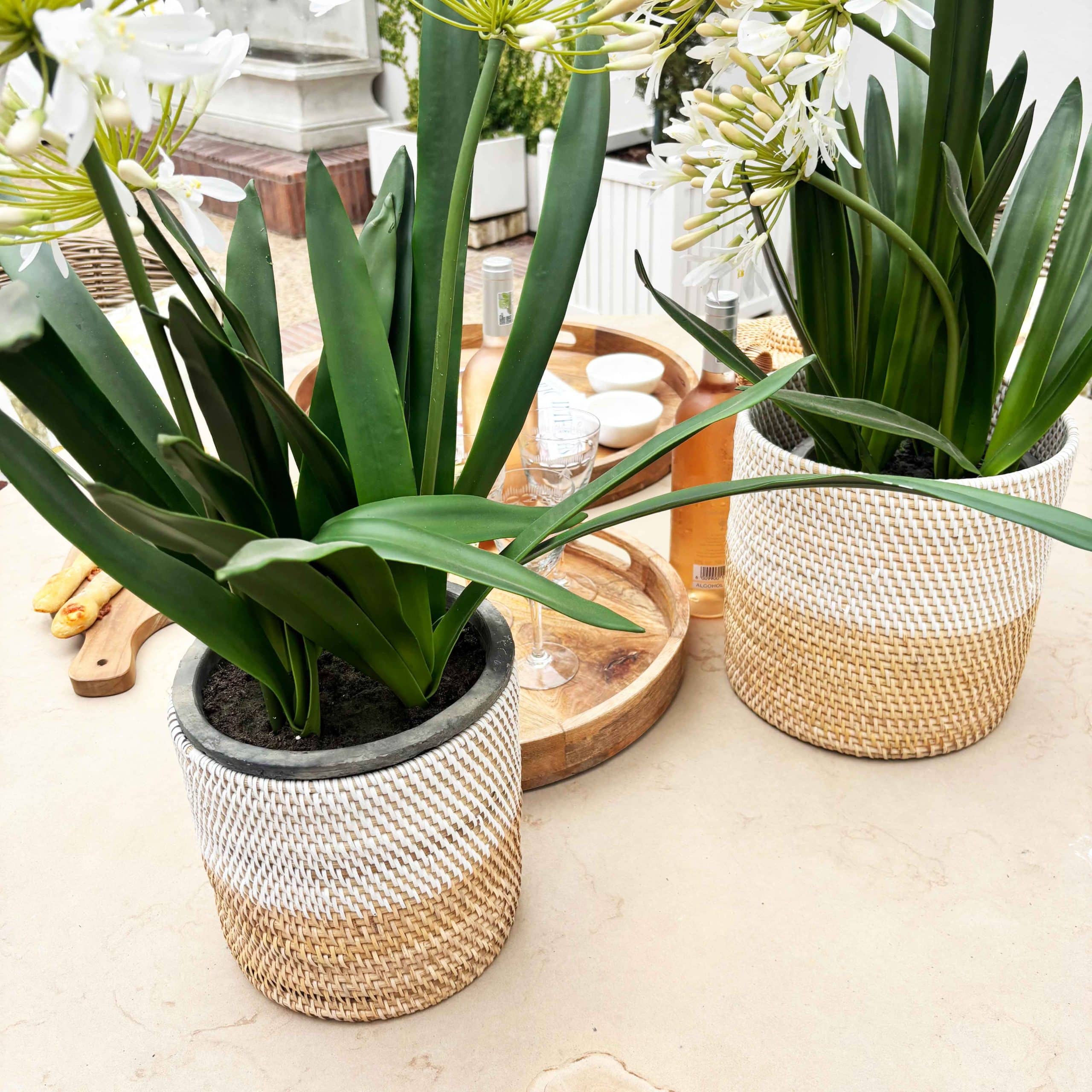 Other Planters