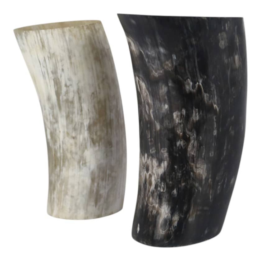 HORN VASE